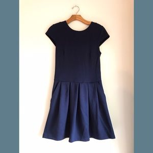 Black Swan Lily Navy Blue A-Line Dress
